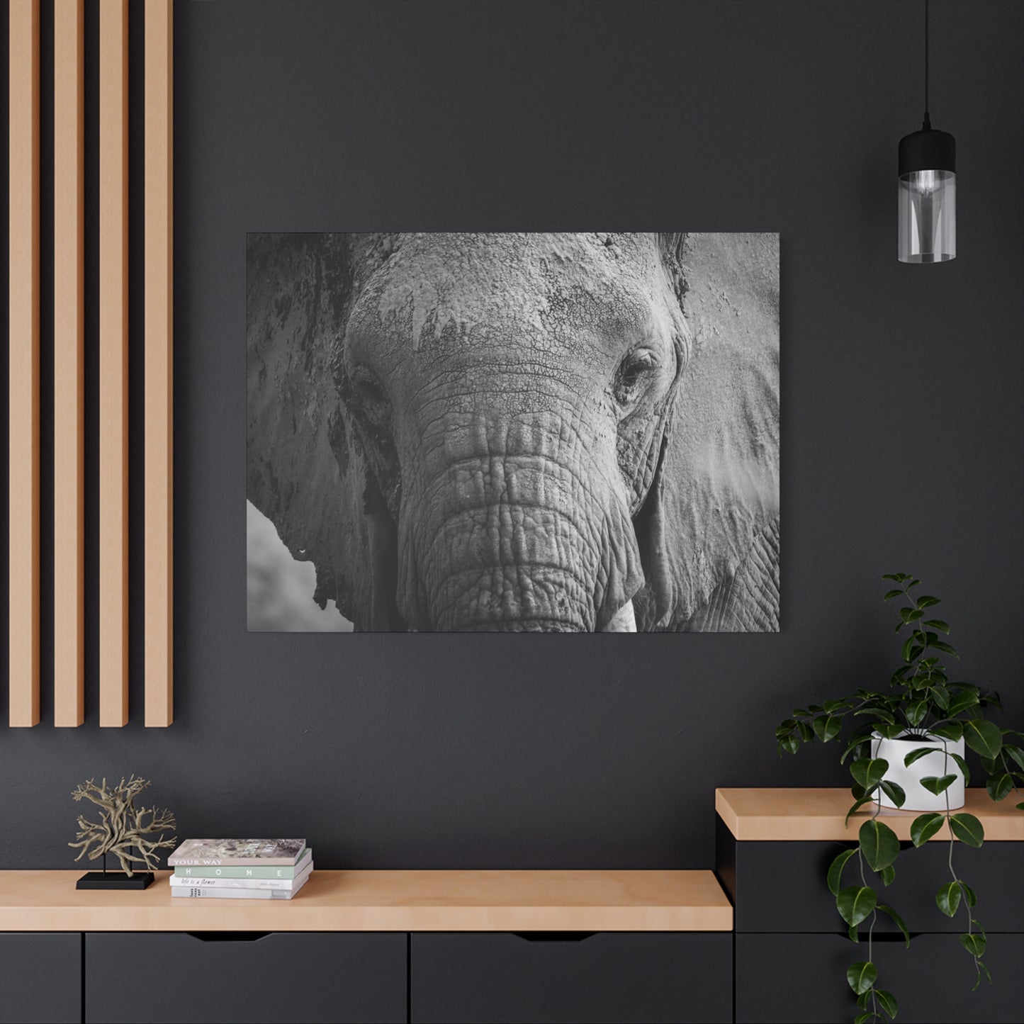"The Look" – Black & White Elephant Canvas Print