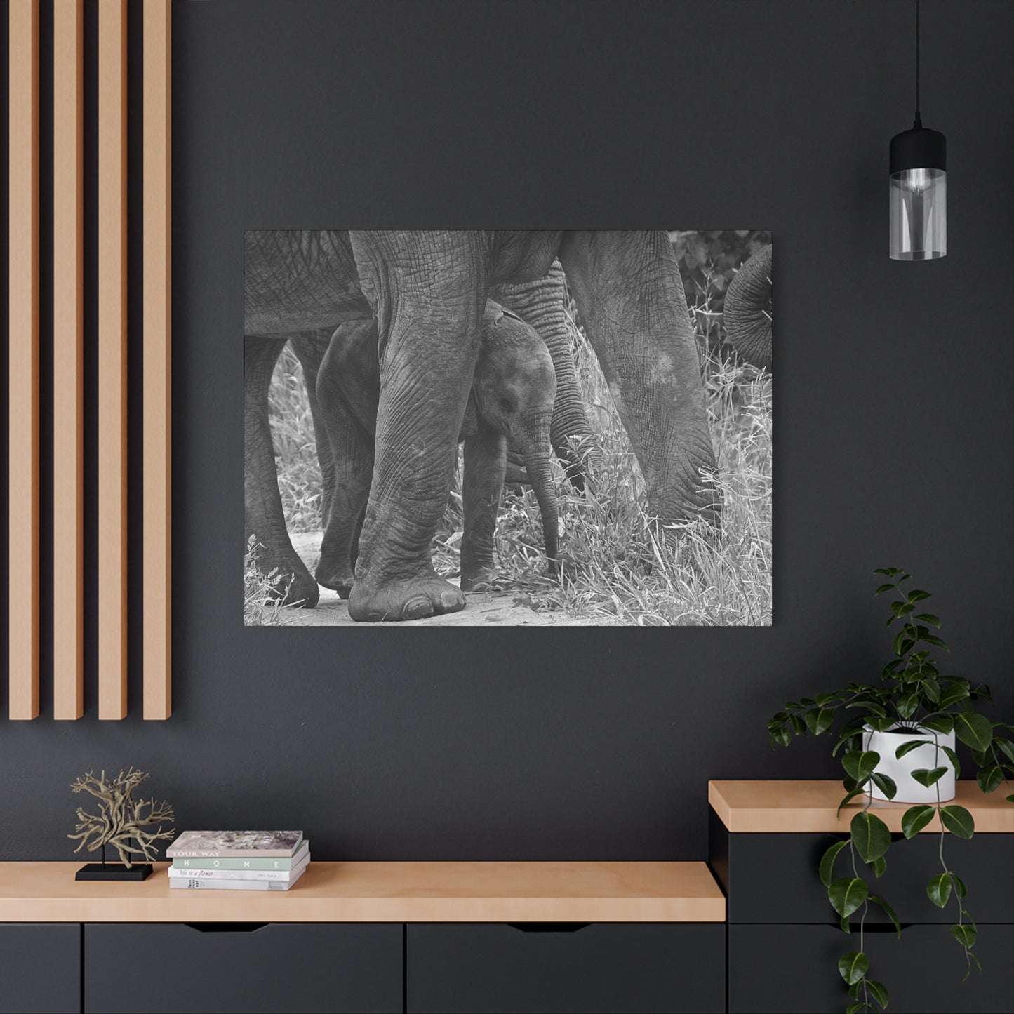 🐘 Protected – Elephant Calf Under Mother’s Belly (Canvas Print)