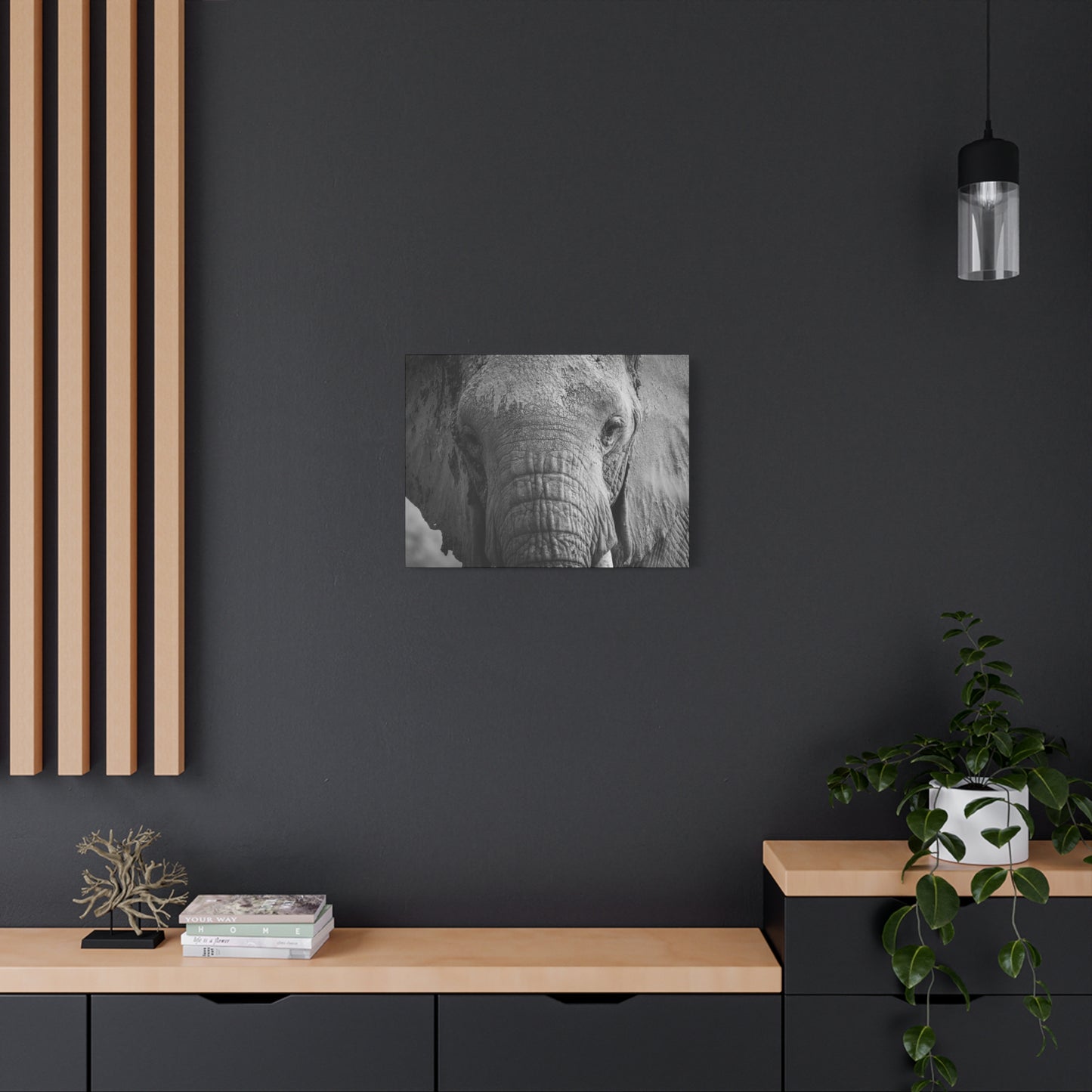 "The Look" – Black & White Elephant Canvas Print