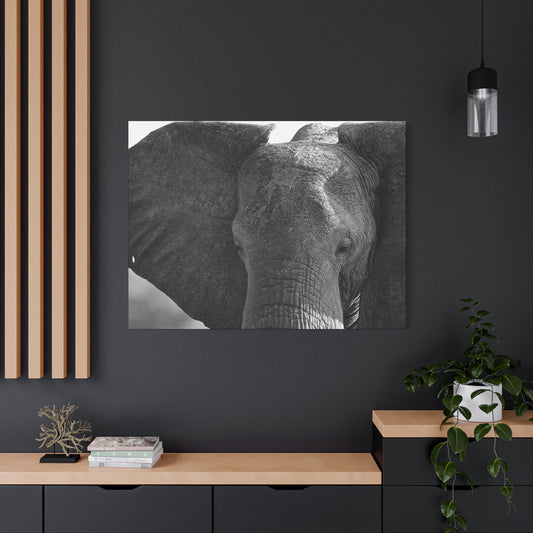 🐘 The Presence – Black & White Elephant Face Portrait Canvas Print