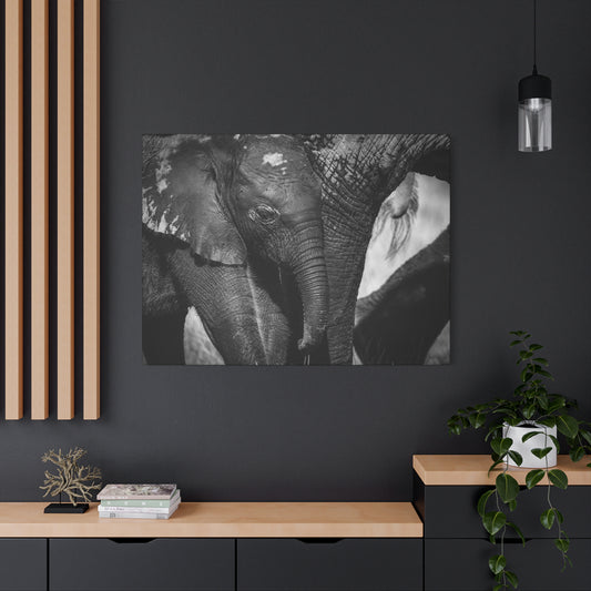 "Side by Side" – Black & White Elephant Canvas Print