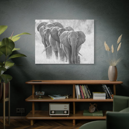 🐘 March of the Elephants – Black & White Canvas Print